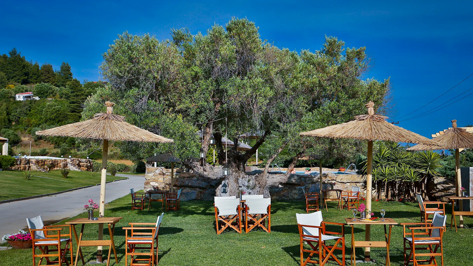 Nefeli Villas And Suites Nea Skioni